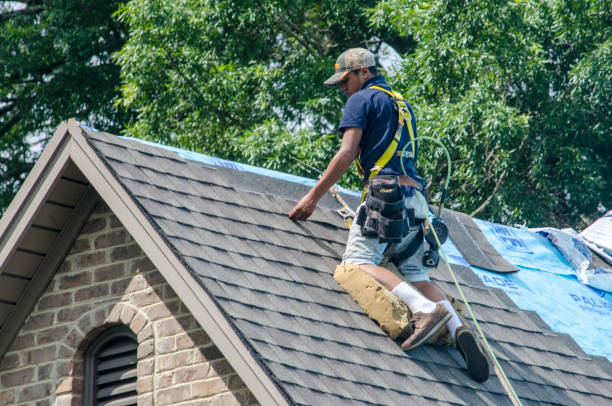 Best Metal Roofing Contractor  in Vinton, LA